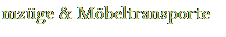 Textfeld: mzge & Mbeltransporte 

